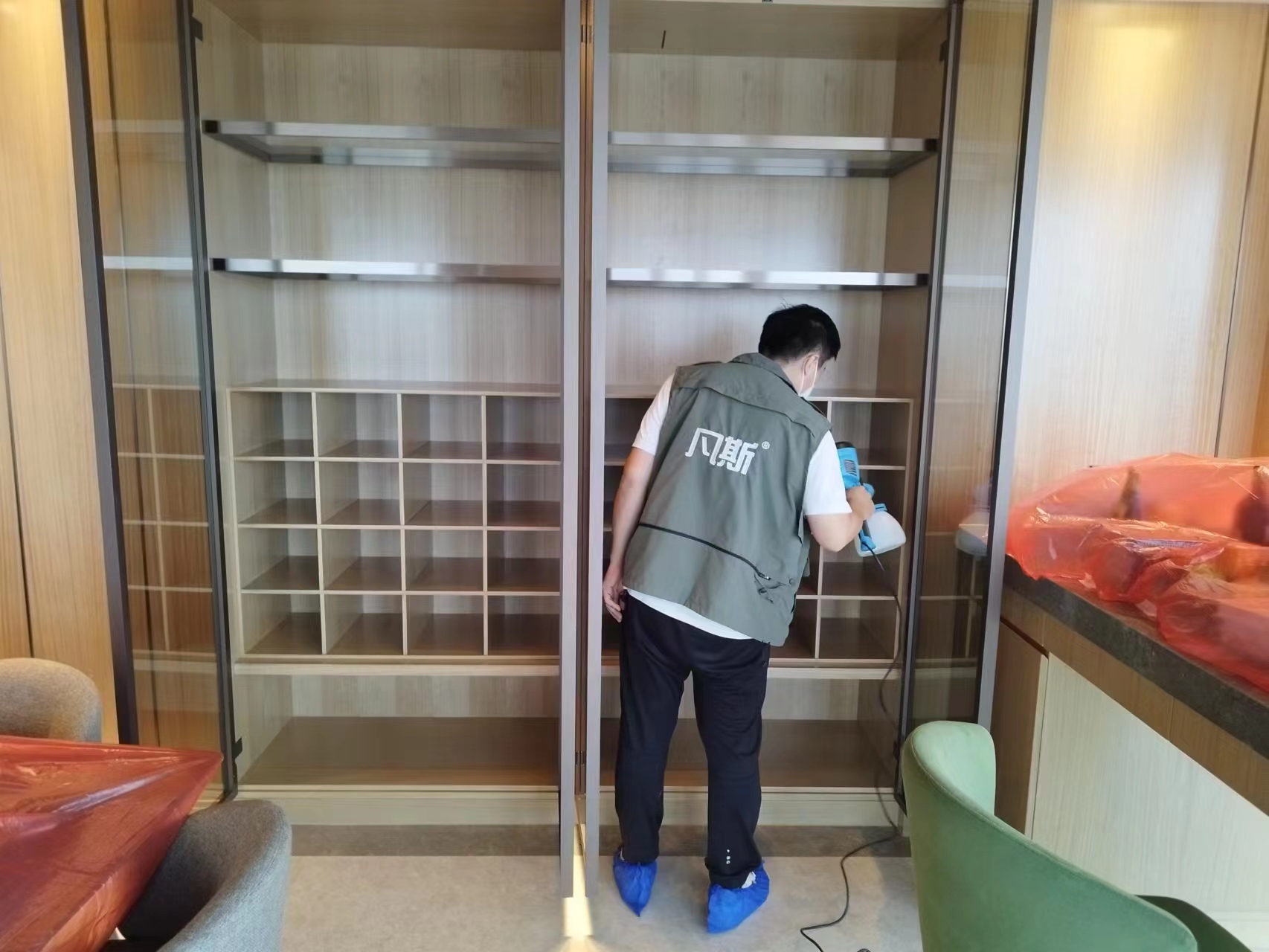 家里綠植的選購(gòu)技巧，凈化室內(nèi)空氣