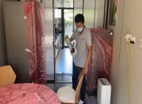 甲醛的危害及清除方法？